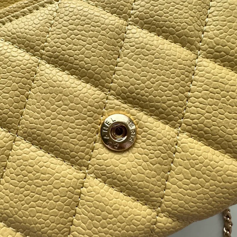 All Categories Chanel Women's Bags (Chanel) Chanel A50076