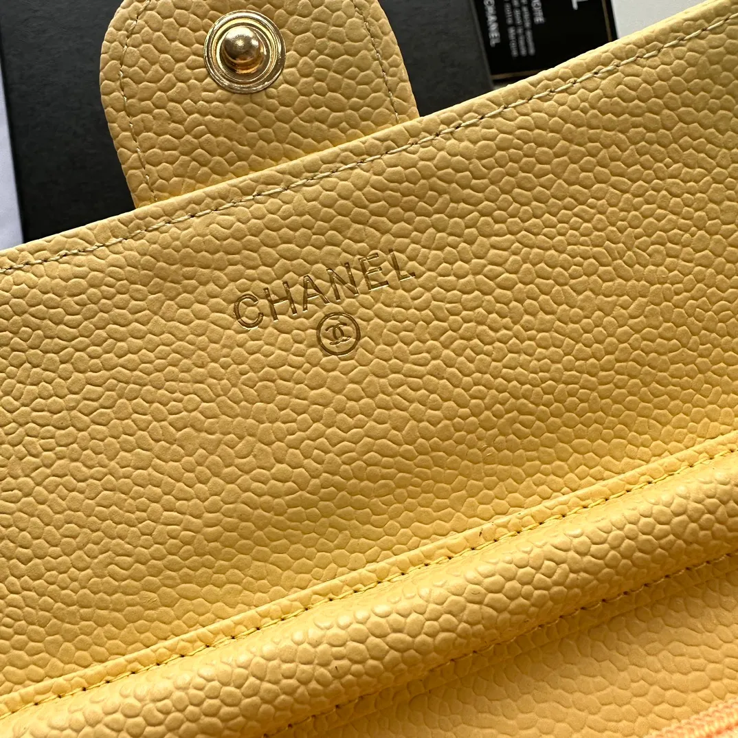 All Categories Chanel Women's Bags (Chanel) Chanel A50076