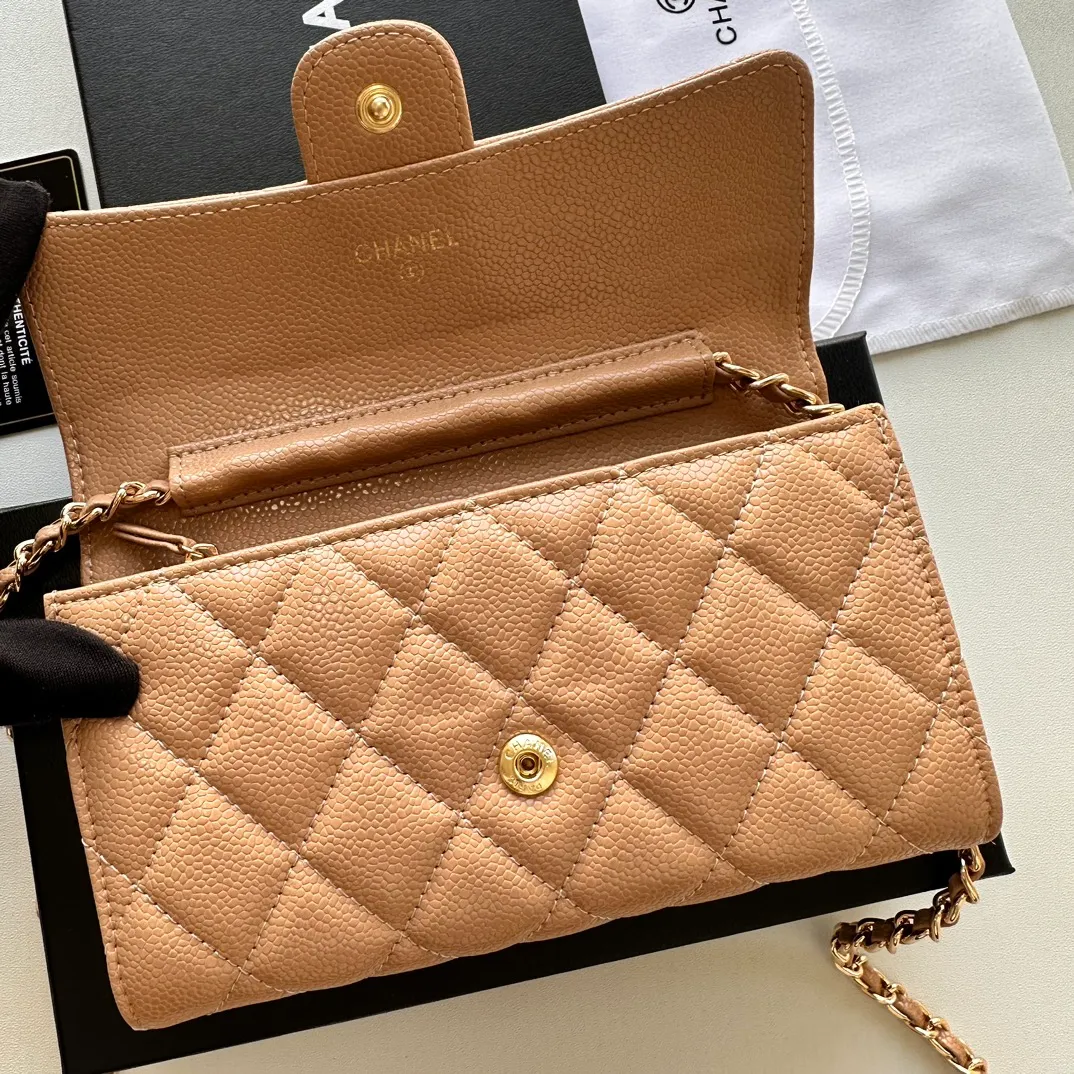 All Categories Chanel Women's Bags (Chanel) Chanel A50076