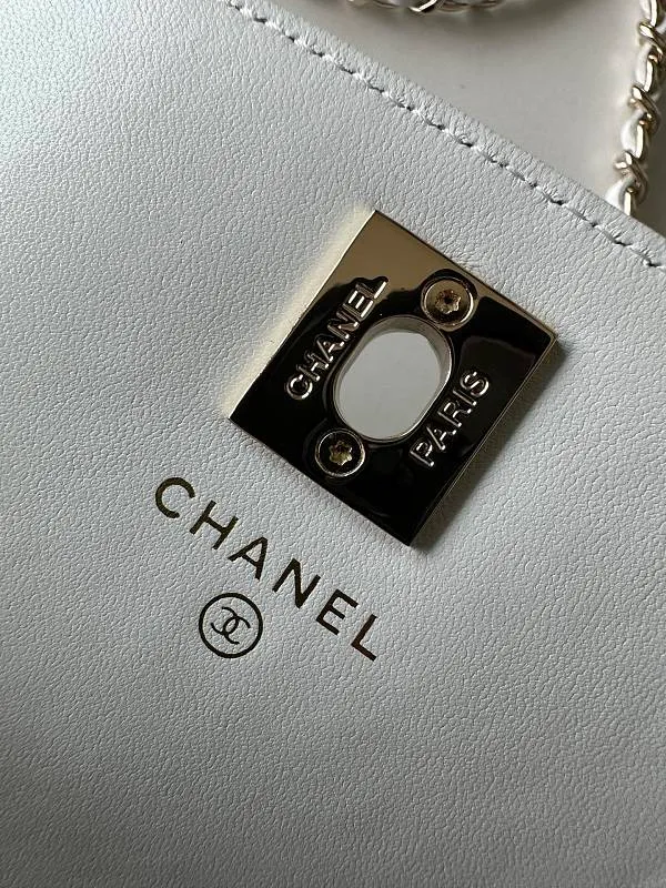 All Categories Chanel Women's Bags 2 (Chanel) Chanel Original Order AP4044