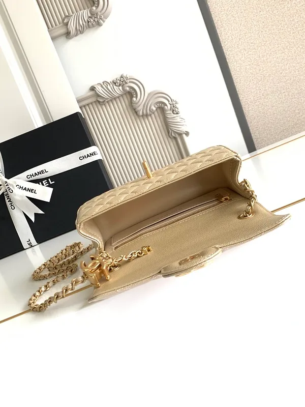 All Categories Chanel Women's Bags 2 (Chanel) Chanel Original Order 5759