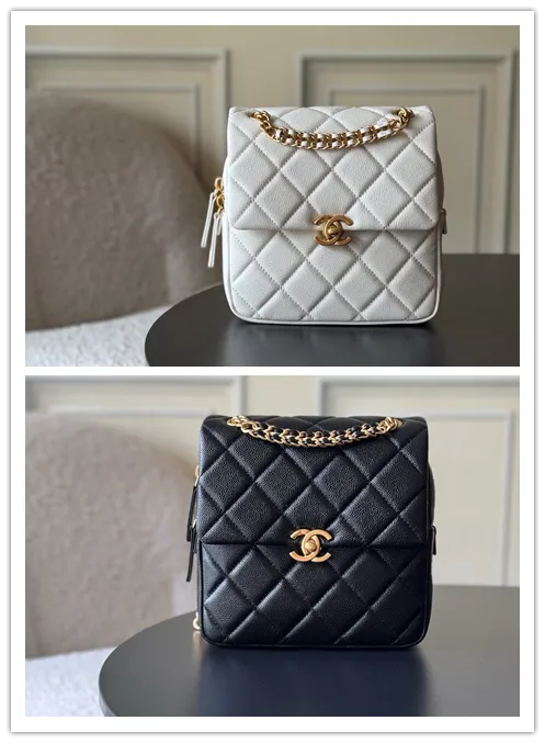 All Categories Chanel Women's Bags (Chanel) Chanel AS3108