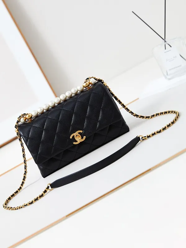 All Categories Chanel Women's Bag 2 (Chanel) Chanel Original Order AS4997