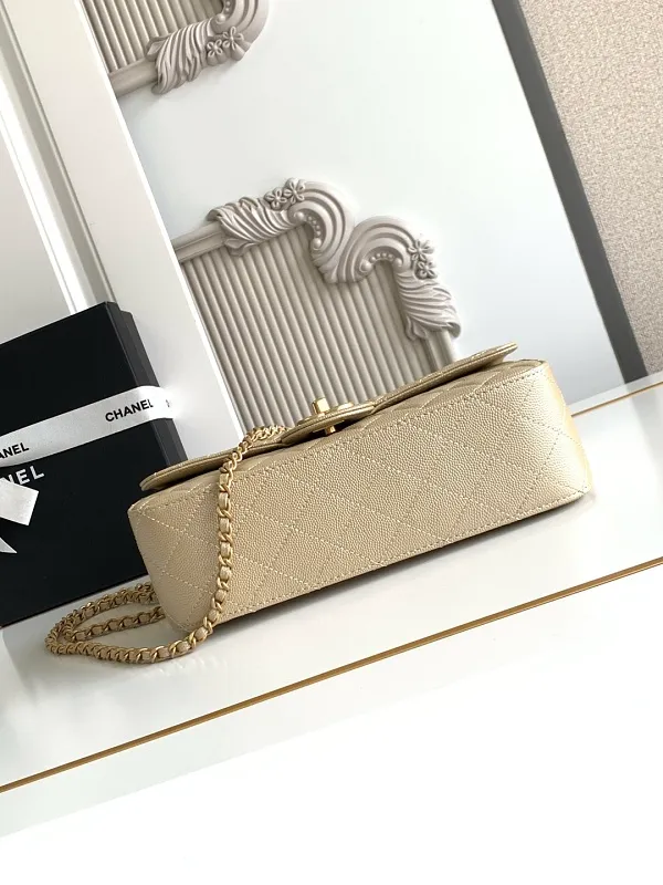 All Categories Chanel Women's Bags 2 (Chanel) Chanel Original Order 5756 Large