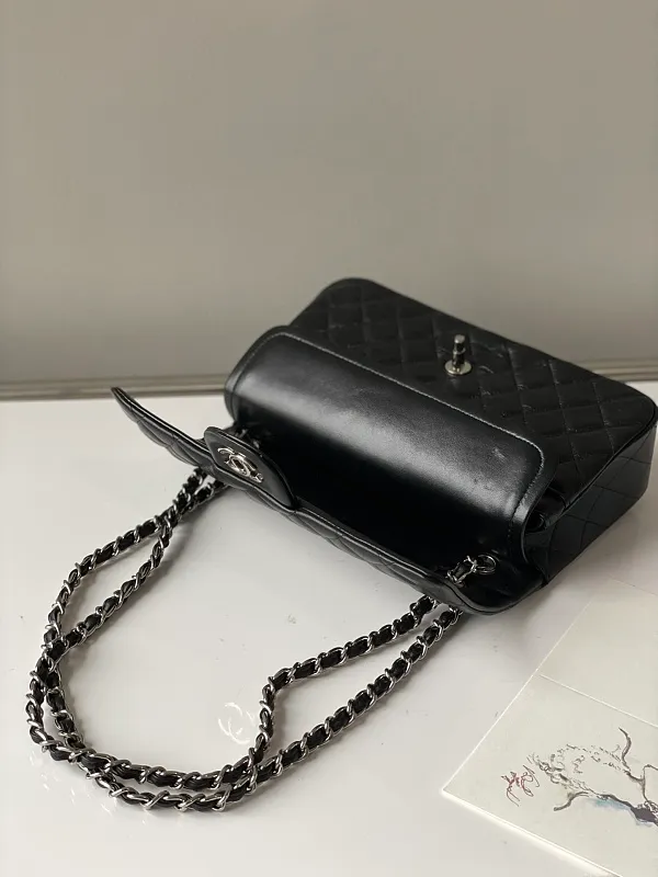 All Categories Chanel Women's Bags (Chanel) Chanel 1112 Ball Pattern