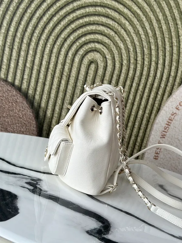 All Categories Chanel Women's Bags (Chanel) Chanel 3860