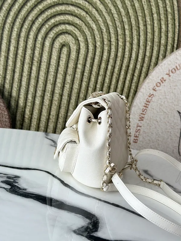 All Categories Chanel Women's Bags (Chanel) Chanel 3860