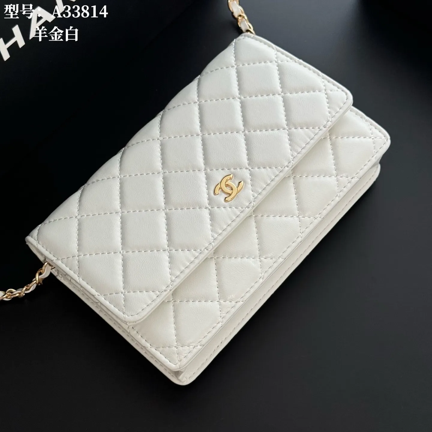 All Categories Official Website "Brand Women's Bags" Women's Bags 💙 Chanel 2026 New CHANEL Crossbody Bag