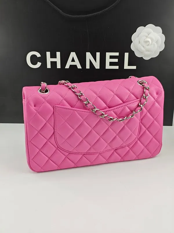 All Categories Chanel Women's Bag 2 (Chanel) Chanel Chip Version A01112