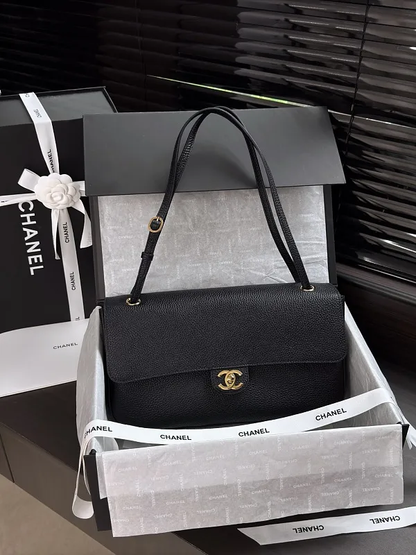 All Categories Chanel Women's Bag 2 (Chanel) Chanel Original Order AS6231