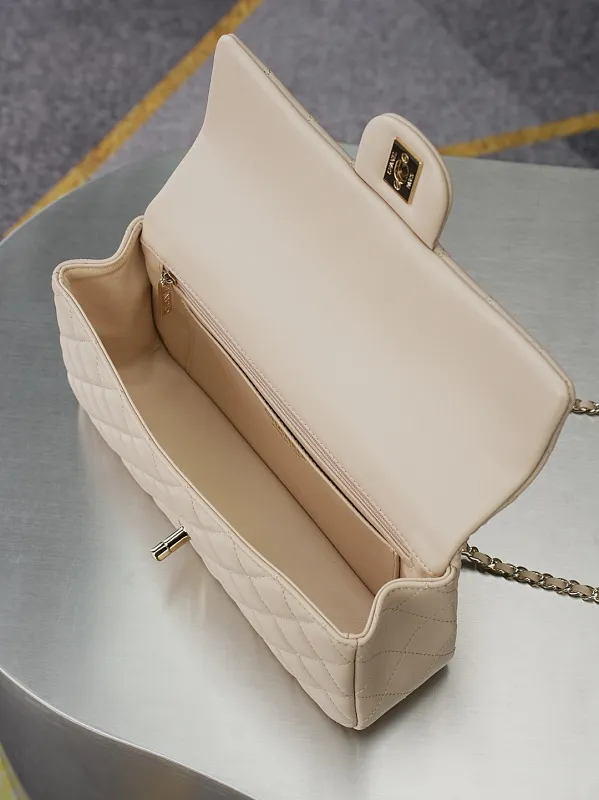 All Categories Chanel Women's Bags (Chanel) Chanel 2431