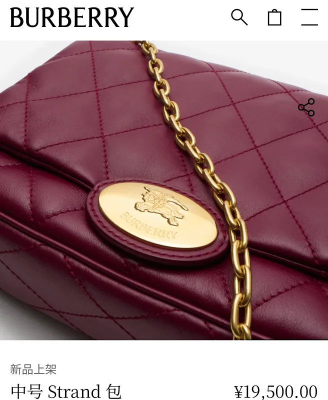 All Categories Chanel Women's Bags (Chanel) Chanel Special 2471