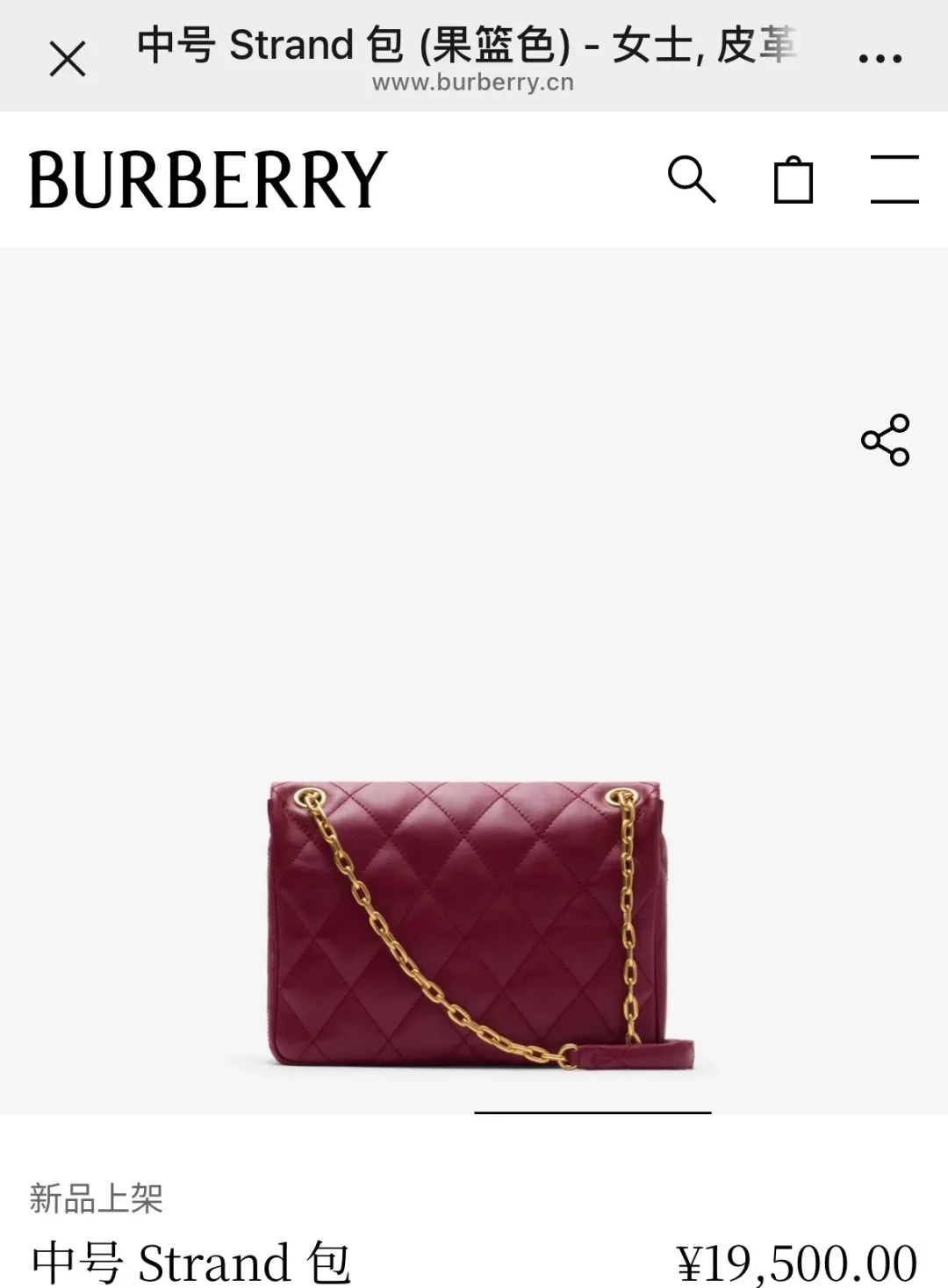 All Categories Chanel Women's Bags (Chanel) Chanel Special 2471
