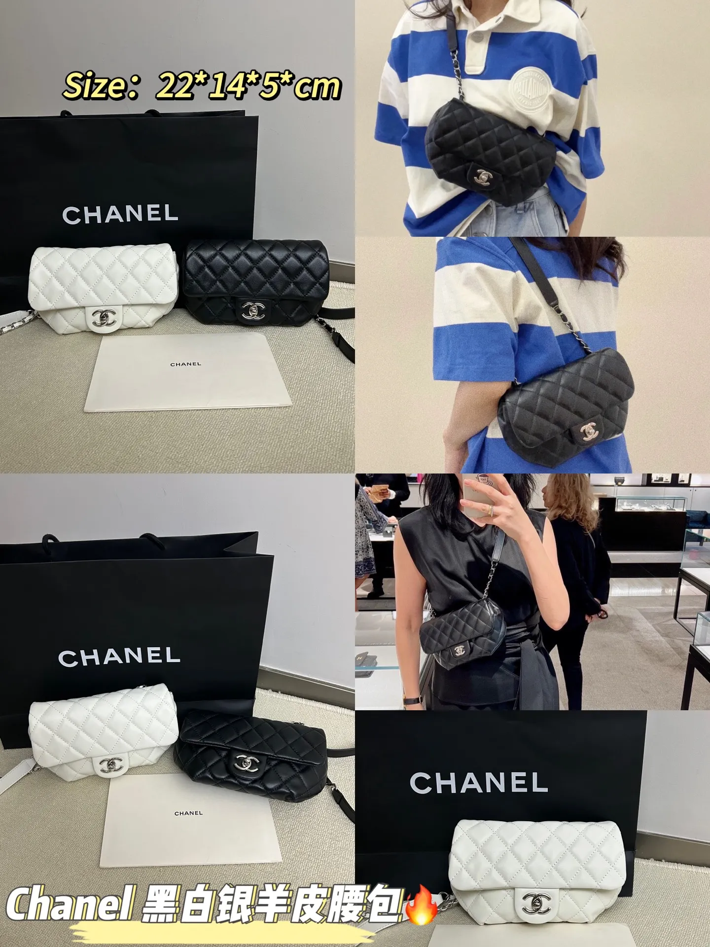 All Categories Chanel Women's Bags (Chanel) Chanel 2610