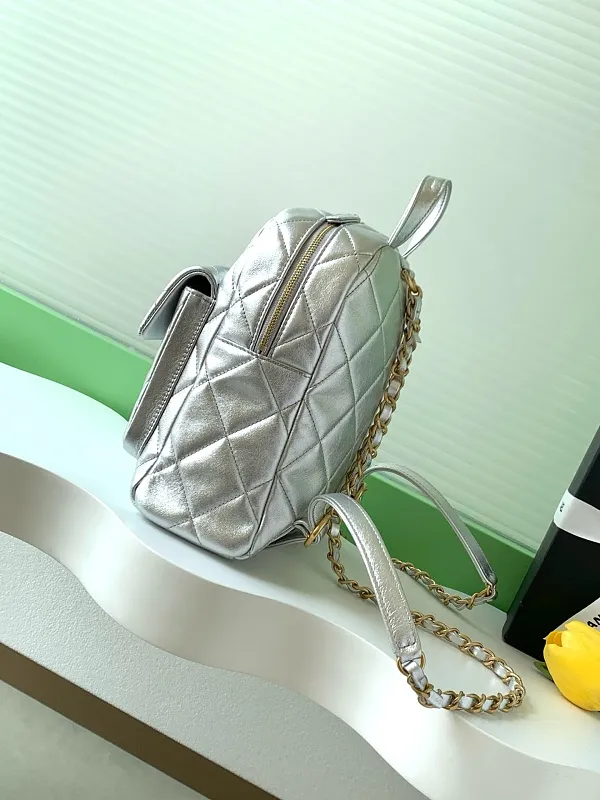 All Categories Chanel Women's Bags 2 (Chanel) Chanel Original Order AS5793