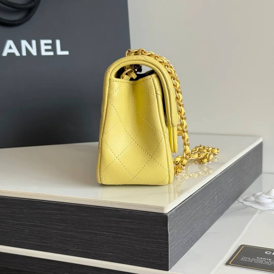All Categories Chanel Women's Bags (Chanel) Chanel Original Order AS1787