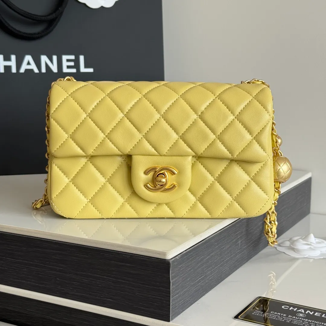 All Categories Chanel Women's Bags (Chanel) Chanel Original Order AS1787