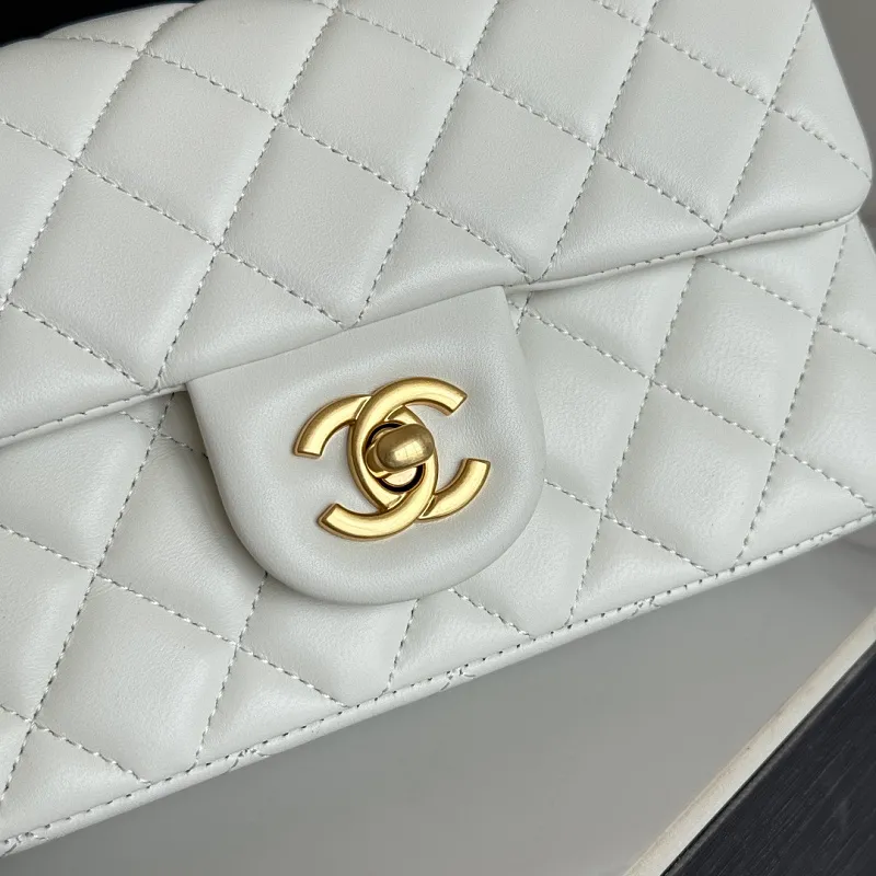 All Categories Chanel Women's Bags (Chanel) Chanel Original Order AS1787