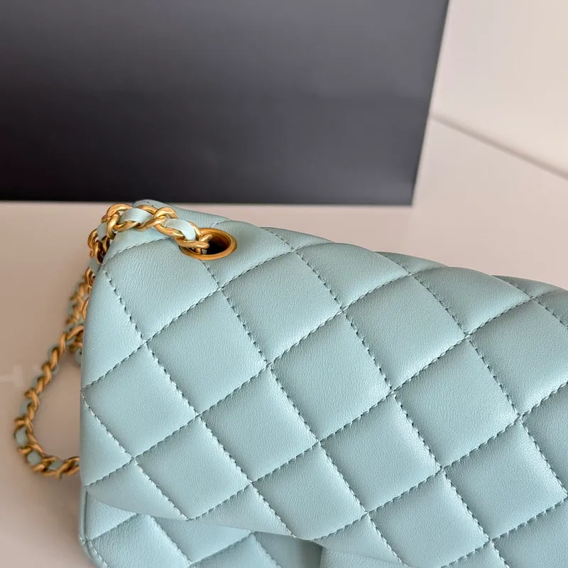 All Categories Chanel Women's Bags (Chanel) Chanel Original Order AS1787