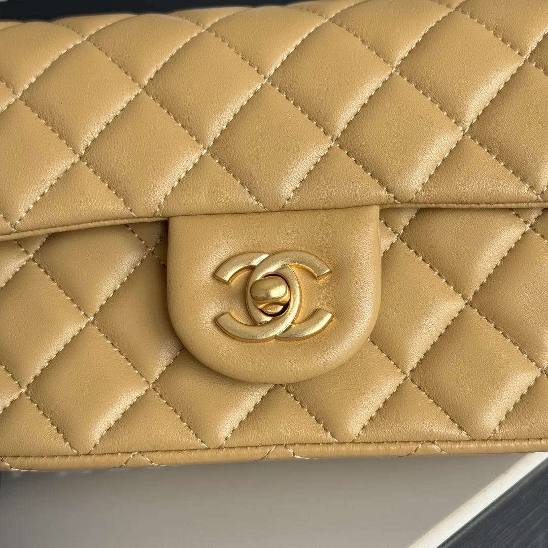 All Categories Chanel Women's Bags (Chanel) Chanel Original Order AS1787