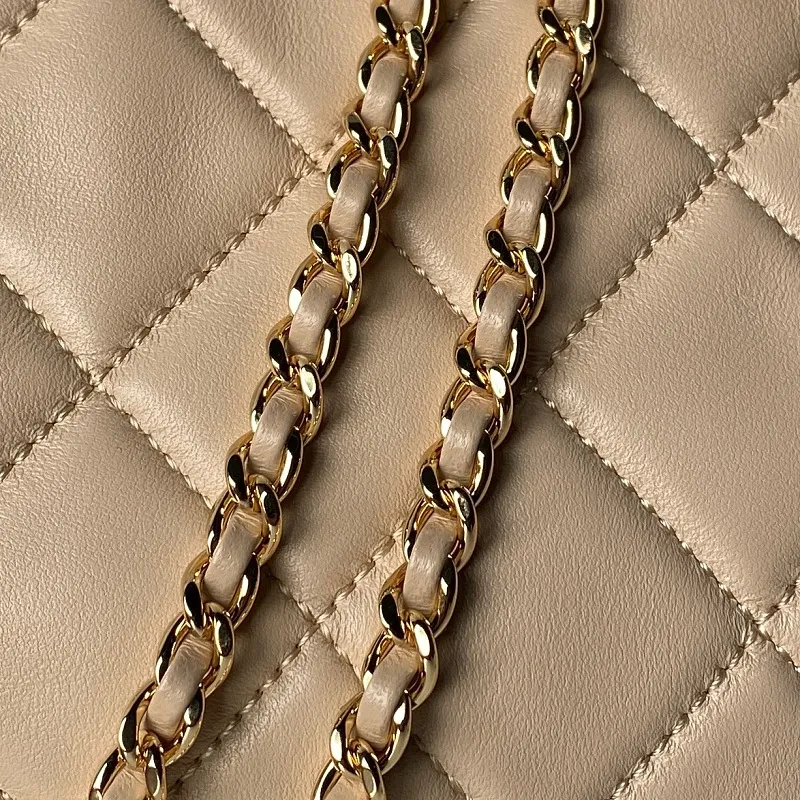 All Categories Chanel Women's Bags 2 (Chanel) Chanel Original Order AS6248