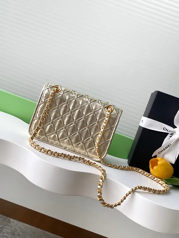 All Categories Chanel Women's Bags 2 (Chanel) Chanel Original Order AS4795