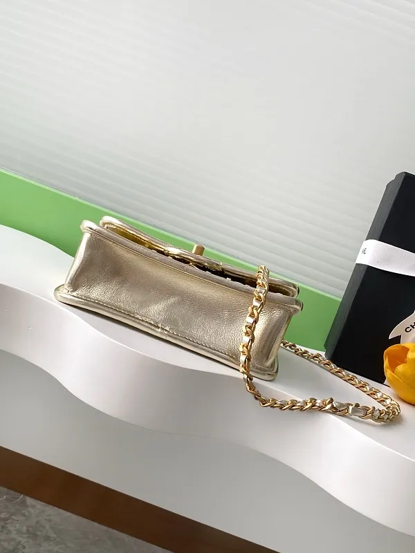 All Categories Chanel Women's Bags 2 (Chanel) Chanel Original Order AS4795