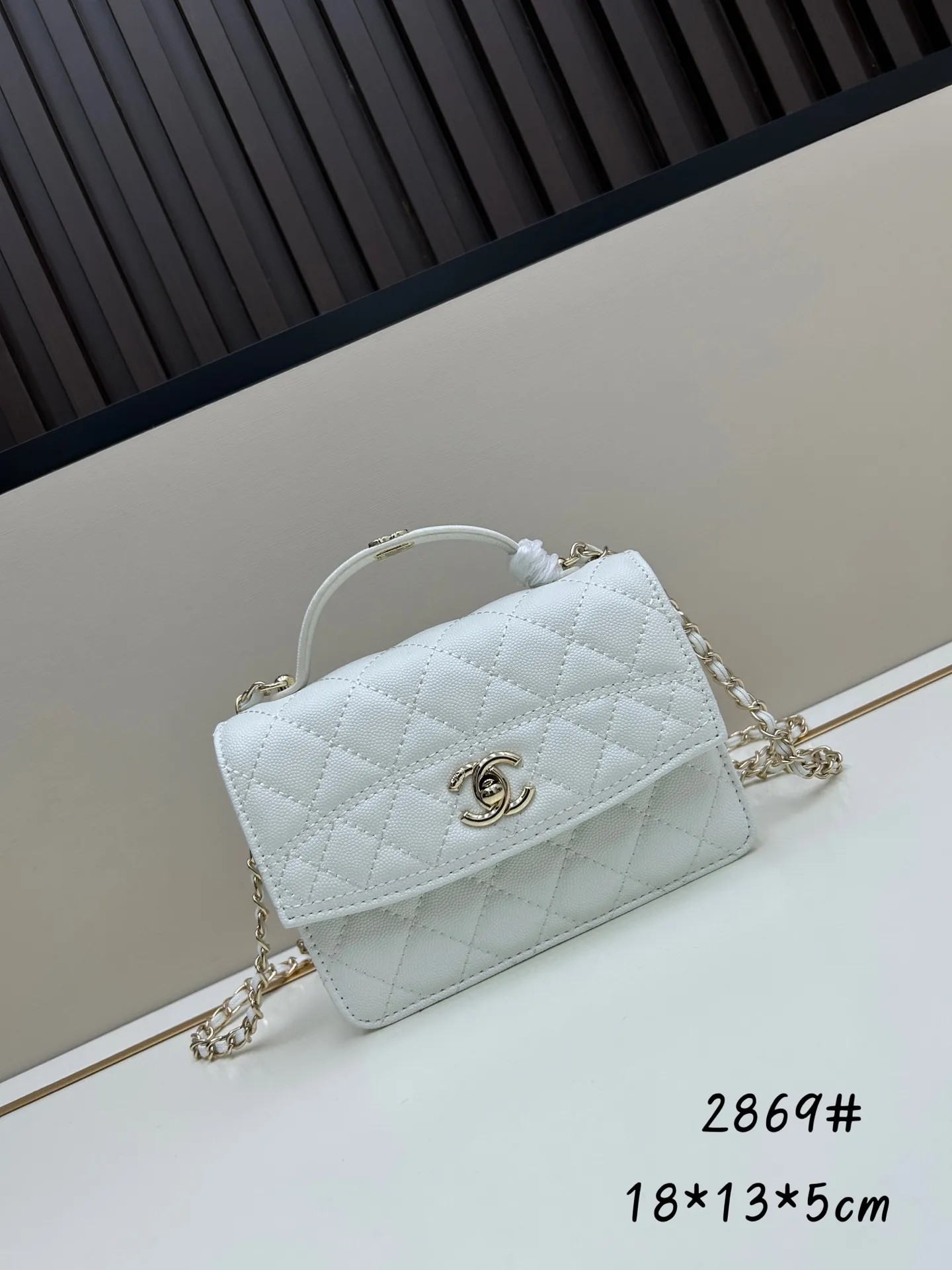 All Categories Chanel Women's Bags (Chanel) Chanel 2869