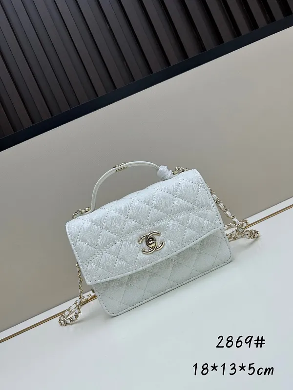 All Categories Chanel Women's Bags (Chanel) Chanel 2869