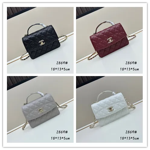 All Categories Chanel Women's Bags (Chanel) Chanel 2869