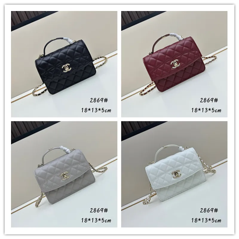 All Categories Chanel Women's Bags (Chanel) Chanel 2869