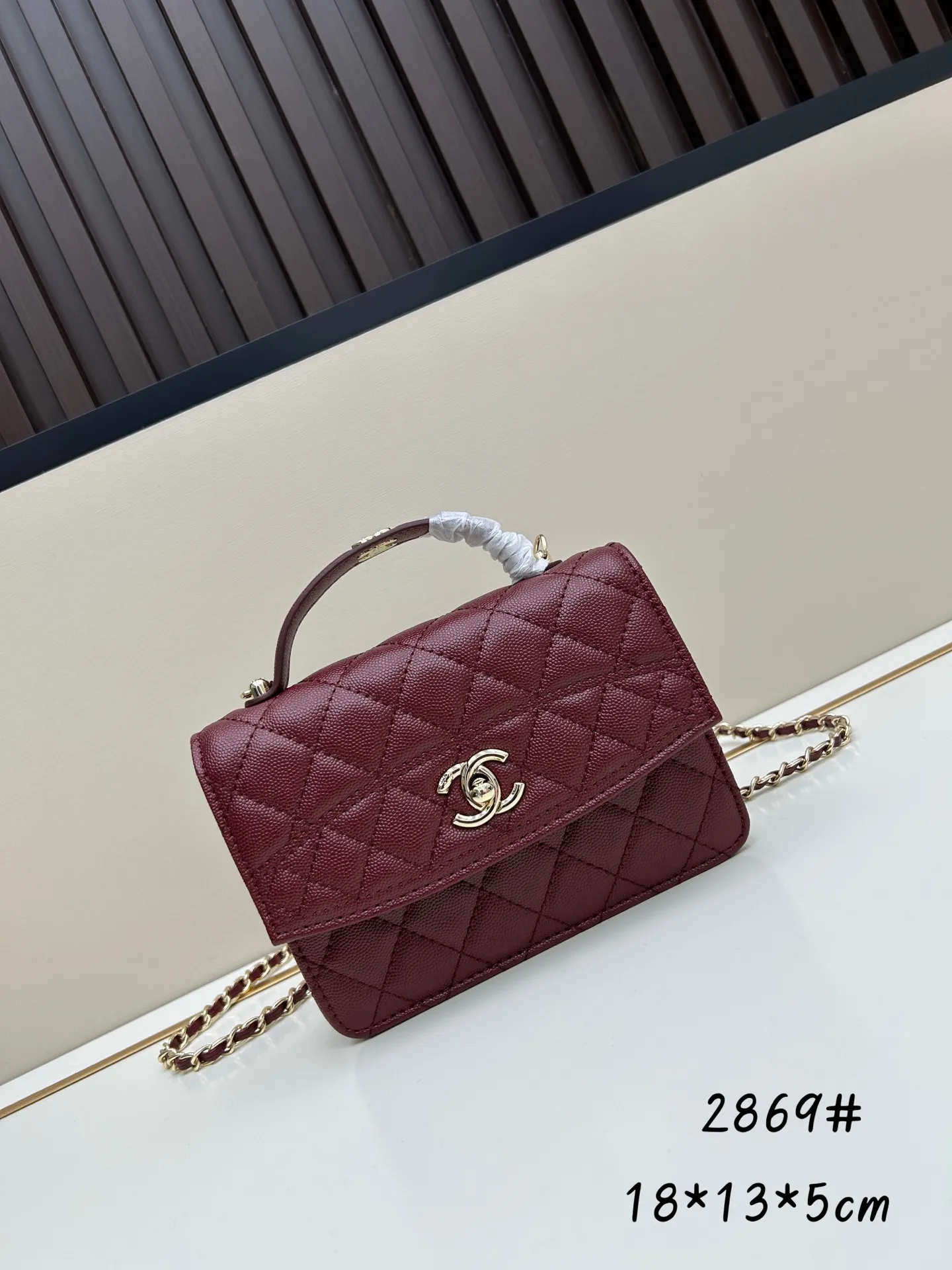 All Categories Chanel Women's Bags (Chanel) Chanel 2869