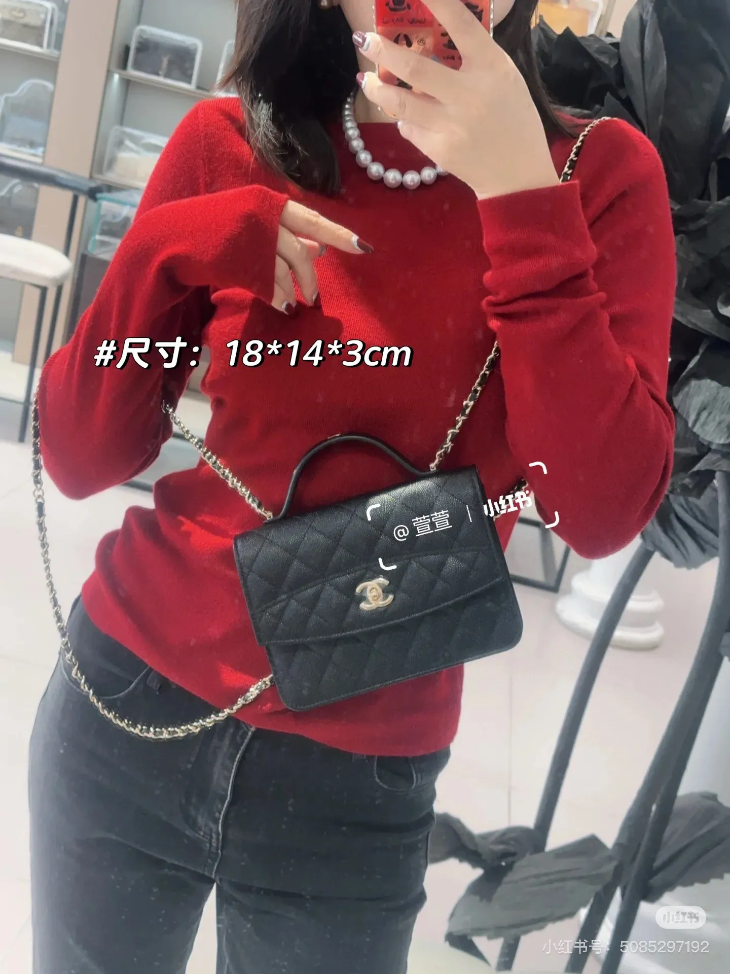 All Categories Chanel Women's Bags (Chanel) Chanel 2869