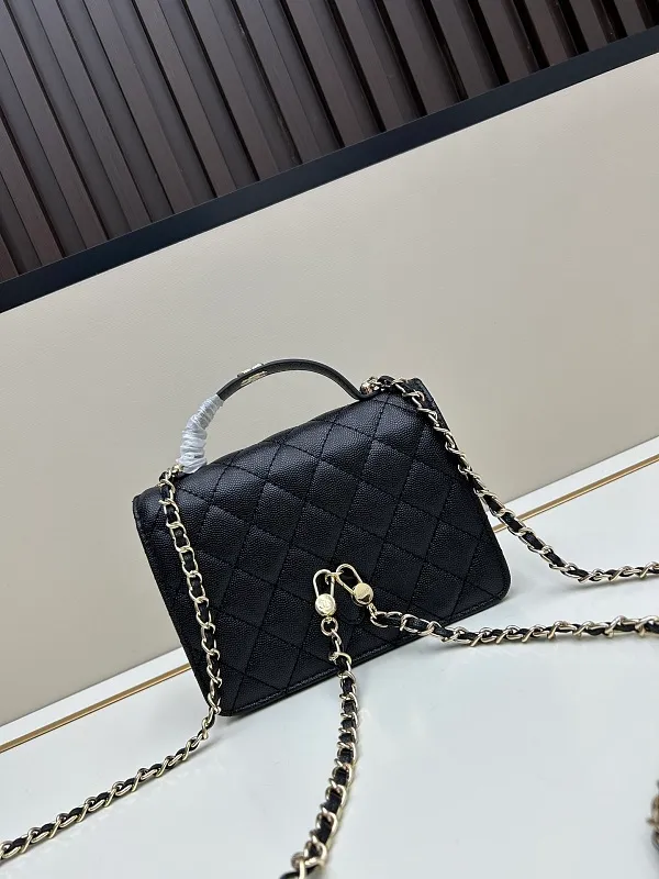 All Categories Chanel Women's Bags (Chanel) Chanel 2869