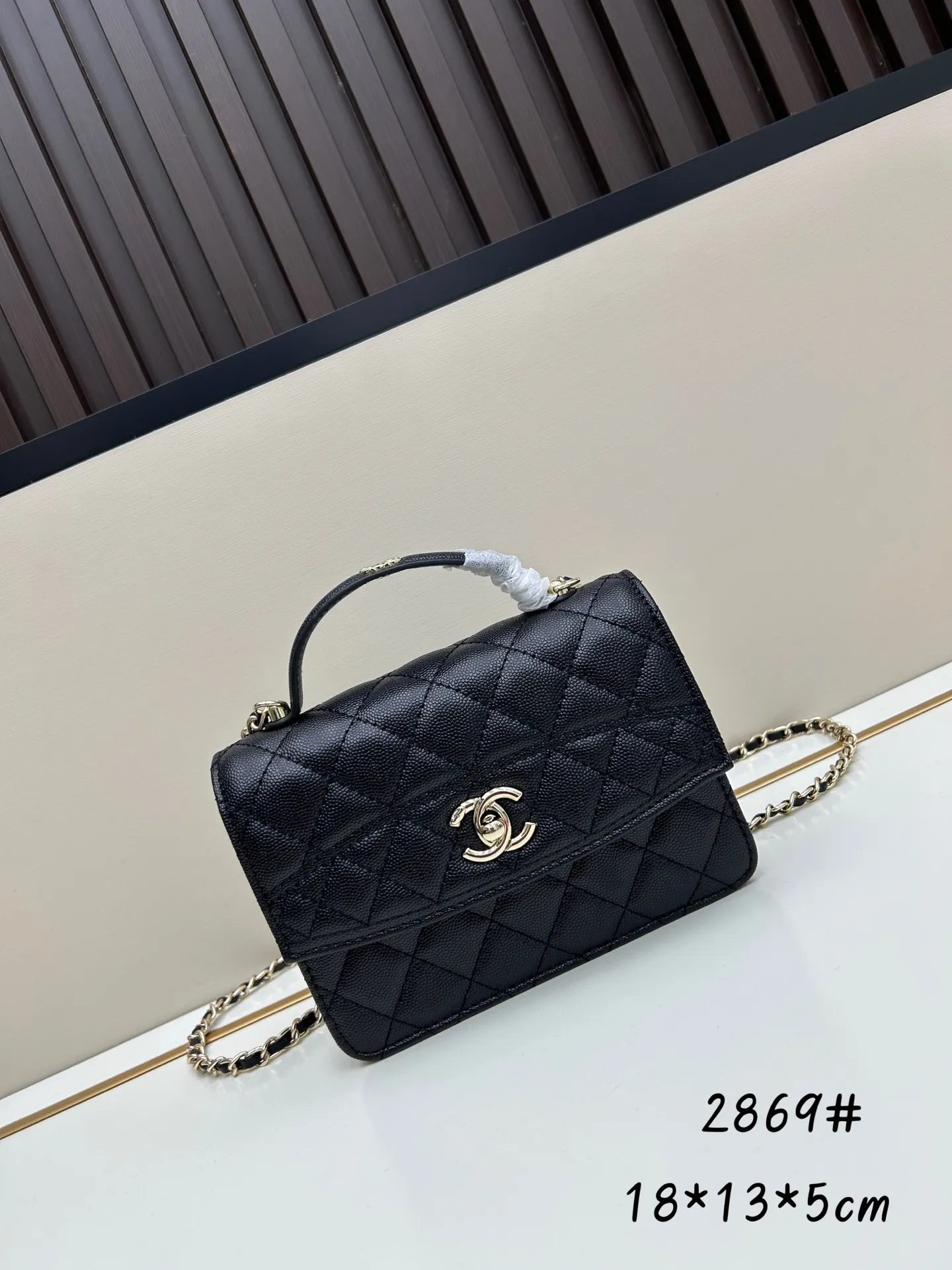 All Categories Chanel Women's Bags (Chanel) Chanel 2869