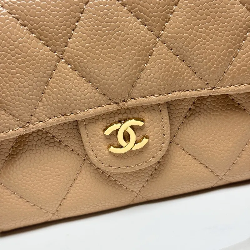 All Categories Chanel Women's Bags (Chanel) Chanel 50087-2