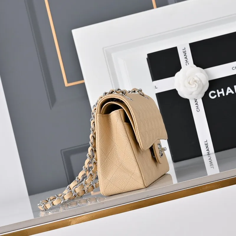 All Categories Chanel Women's Bags 2 (Chanel) Chanel Original Order 1113 All Steel