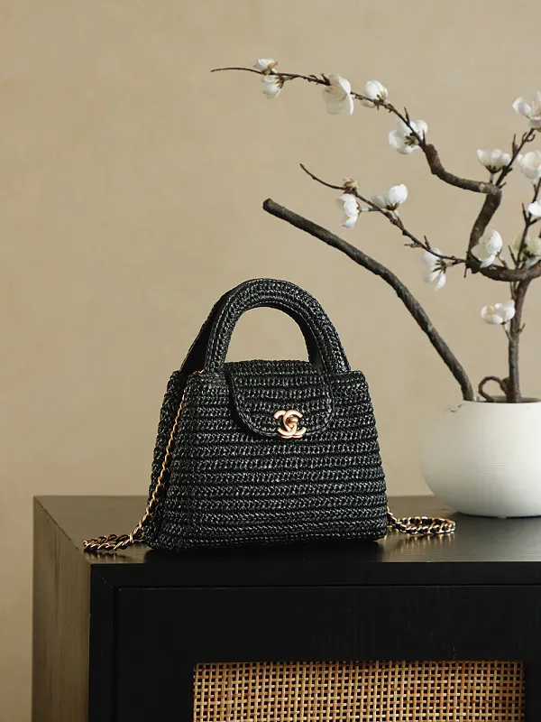 All Categories Chanel Women's Bags (Chanel) Chanel AS4416