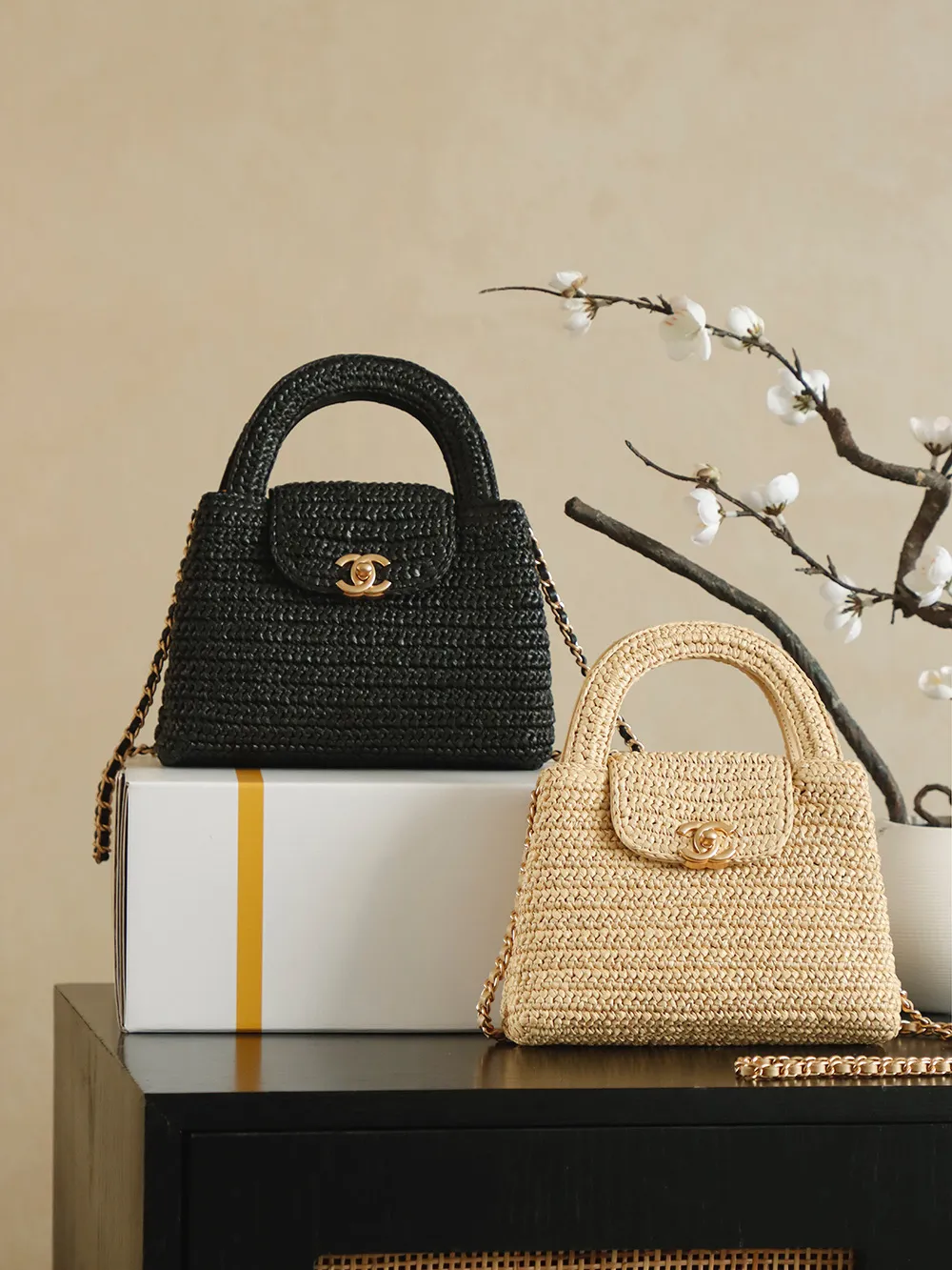 All Categories Chanel Women's Bags (Chanel) Chanel AS4416