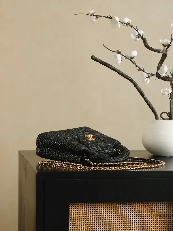 All Categories Chanel Women's Bags (Chanel) Chanel AS4416
