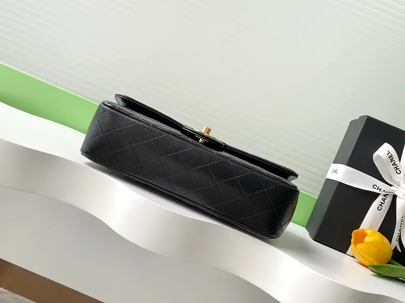 All Categories Chanel Women's Bags (Chanel) Chanel AS3869