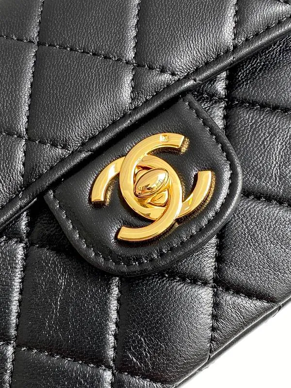 All Categories Chanel Women's Bags (Chanel) Chanel AS3869