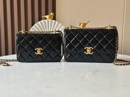 All Categories Chanel Women's Bag 2 (Chanel) Chanel Original Order AP2739