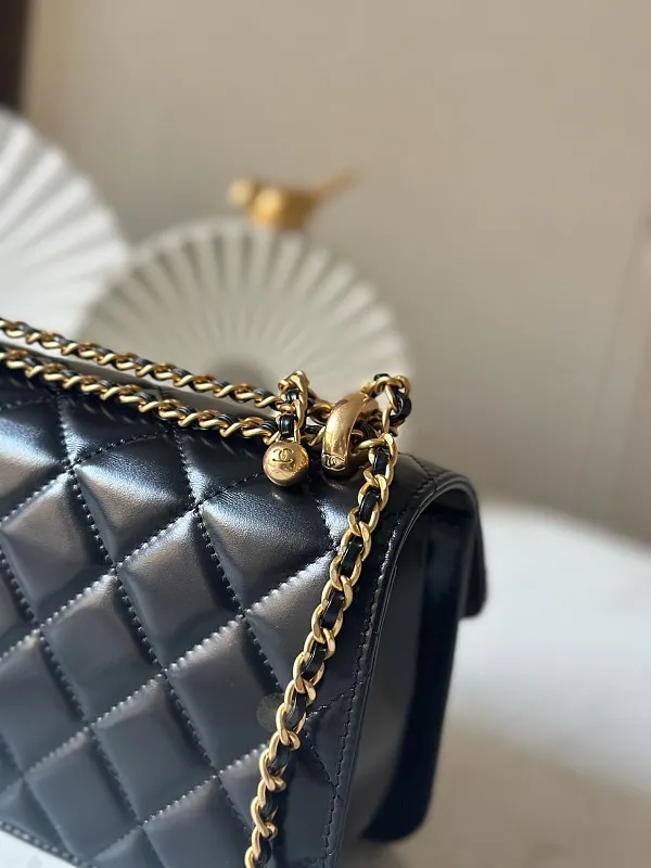 All Categories Chanel Women's Bag 2 (Chanel) Chanel Original Order AP2739