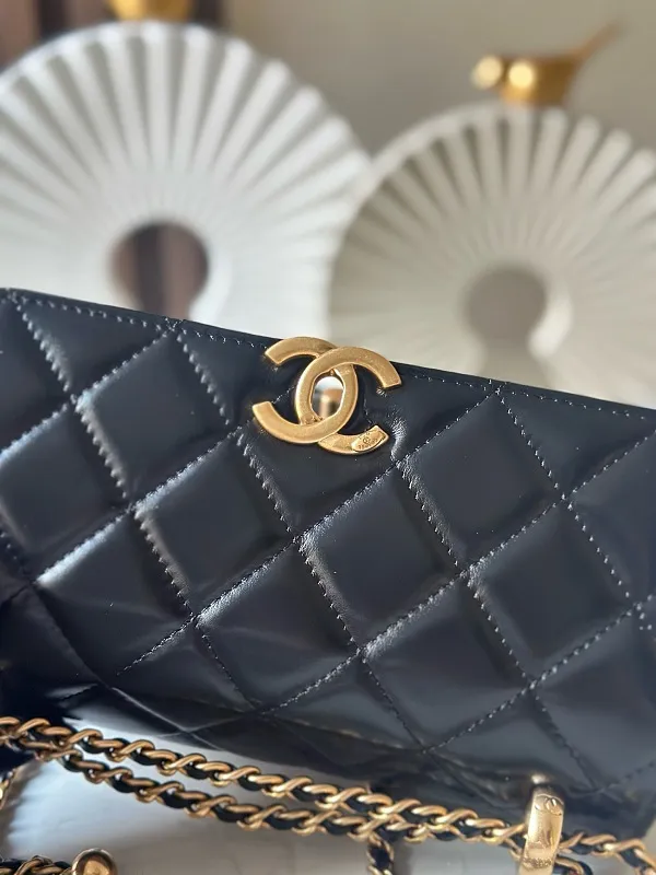 All Categories Chanel Women's Bag 2 (Chanel) Chanel Original Order AP2739