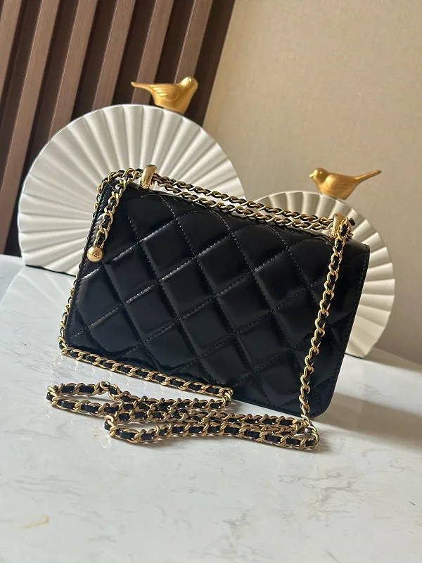 All Categories Chanel Women's Bag 2 (Chanel) Chanel Original Order AP2739