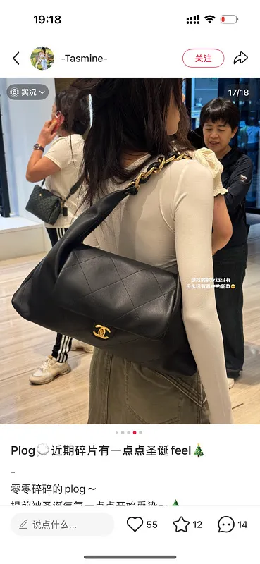 All Categories Chanel Women's Bags 2 (Chanel) Chanel 2569