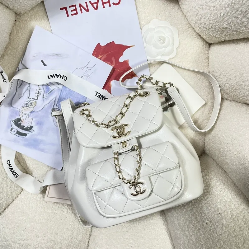 All Categories Chanel Women's Bags 2 (Chanel) Chanel Original Order 2908