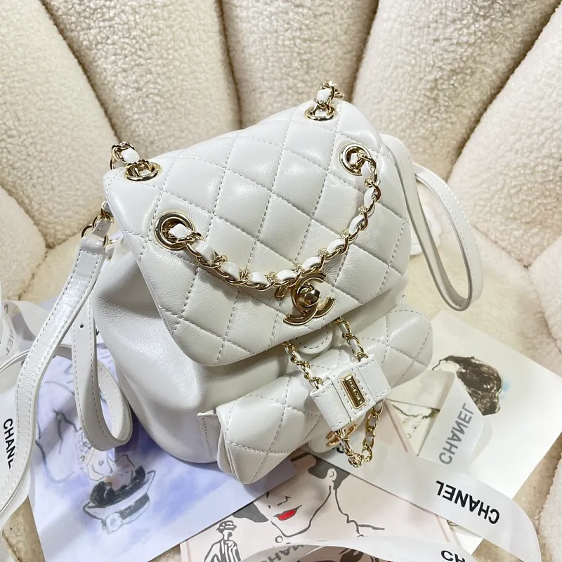 All Categories Chanel Women's Bags 2 (Chanel) Chanel Original Order 2908