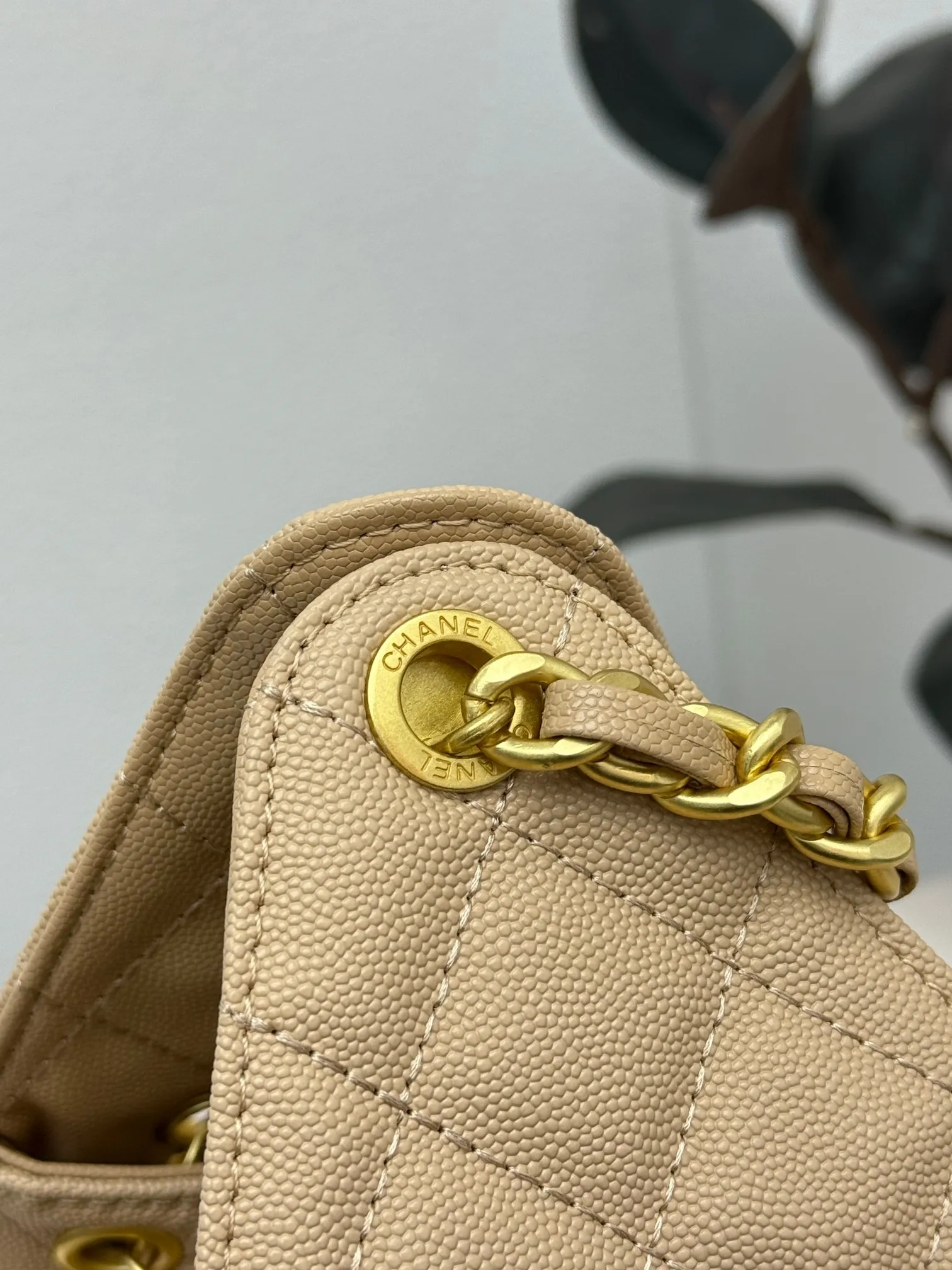 All Categories Chanel Women's Bags (Chanel) Chanel 3603